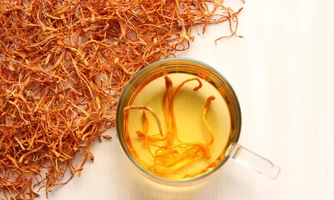 زعفران سفید گیلان با برداشت تازه و کیفیت مطمئن